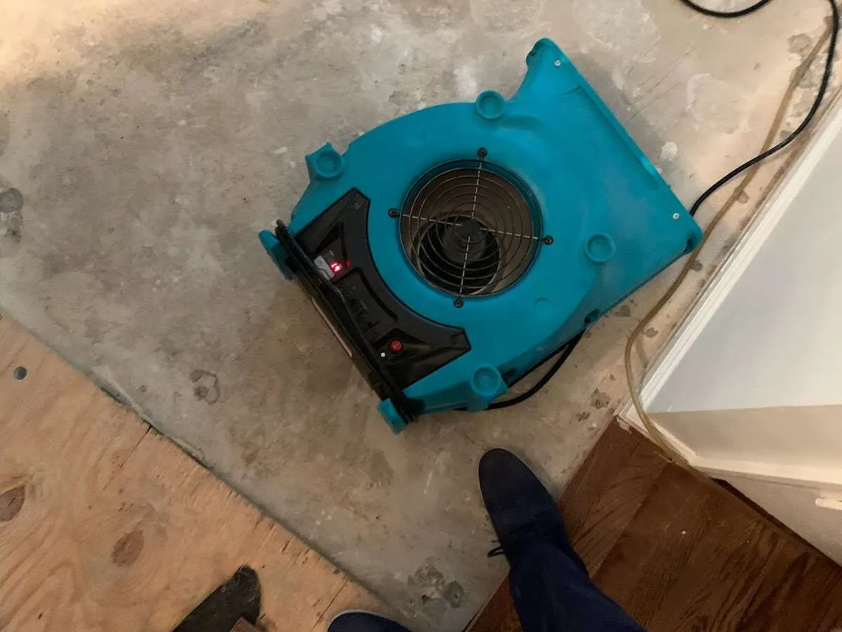 Air mover drying subfloor during Commercial Water Damage Restoration in Wilkes-Barre